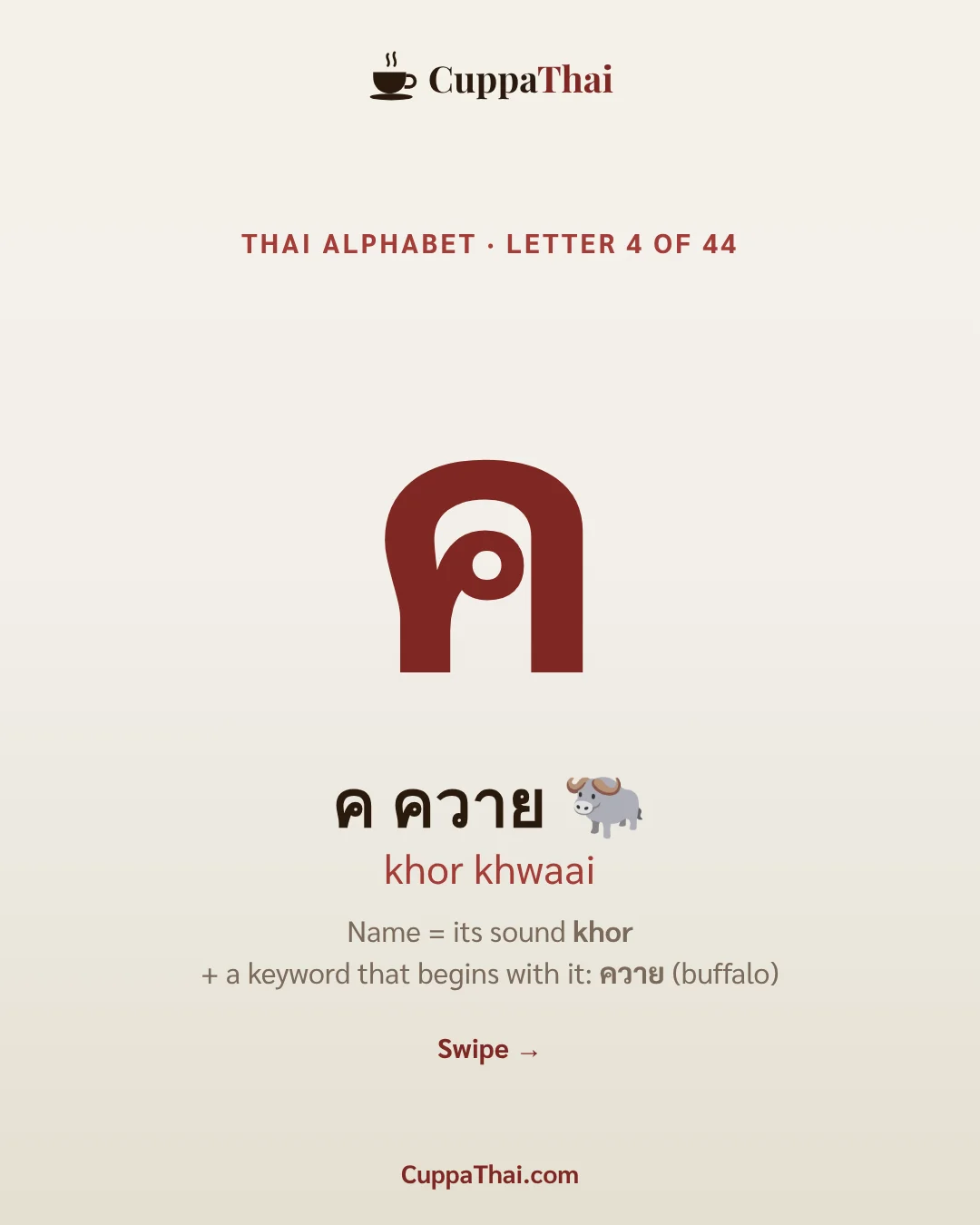 Cover. ค ควาย (khor khwaai), Thai alphabet letter 4 of 44