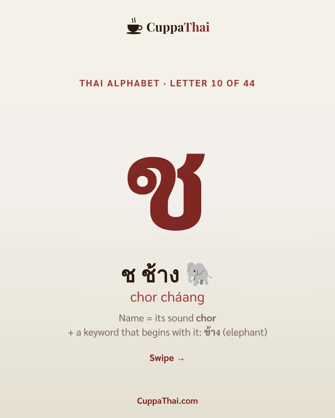 Cover. ช ช้าง (chor chaang), Thai alphabet letter 10 of 44